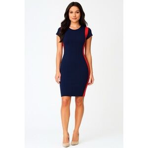 EUC Joseph Ribkoff Colorblock Side Panels Dress 12​​​​​